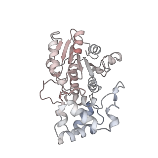 13557_7pnz_b_v1-2
Assembly intermediate of human mitochondrial ribosome small subunit without mS37 in complex with RBFA and METTL15 conformation c