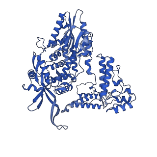 17783_8pnq_B_v1-0
Influenza A/H7N9 polymerase in elongation state with continuous Pol II pS5 CTD peptide mimic bound in site 1A/2A