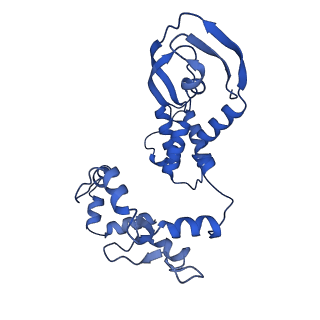 17783_8pnq_C_v1-0
Influenza A/H7N9 polymerase in elongation state with continuous Pol II pS5 CTD peptide mimic bound in site 1A/2A