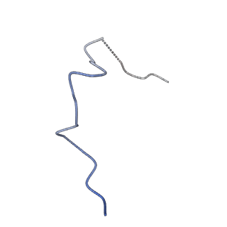 17783_8pnq_G_v1-0
Influenza A/H7N9 polymerase in elongation state with continuous Pol II pS5 CTD peptide mimic bound in site 1A/2A