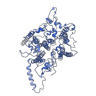 20397_6pnj_B_v1-0
Structure of Photosystem I Acclimated to Far-red Light