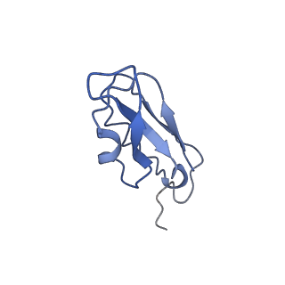 20397_6pnj_C_v1-0
Structure of Photosystem I Acclimated to Far-red Light