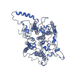 20397_6pnj_H_v2-0
Structure of Photosystem I Acclimated to Far-red Light
