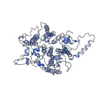 20397_6pnj_b_v1-0
Structure of Photosystem I Acclimated to Far-red Light