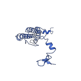 20397_6pnj_l_v1-0
Structure of Photosystem I Acclimated to Far-red Light