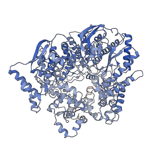 20398_6pns_A_v1-2
In situ structure of BTV RNA-dependent RNA polymerase in BTV virion