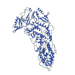 20398_6pns_B_v1-2
In situ structure of BTV RNA-dependent RNA polymerase in BTV virion