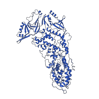 20398_6pns_B_v1-3
In situ structure of BTV RNA-dependent RNA polymerase in BTV virion