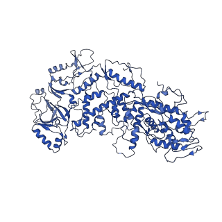 20398_6pns_C_v1-2
In situ structure of BTV RNA-dependent RNA polymerase in BTV virion