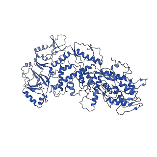 20398_6pns_C_v1-3
In situ structure of BTV RNA-dependent RNA polymerase in BTV virion