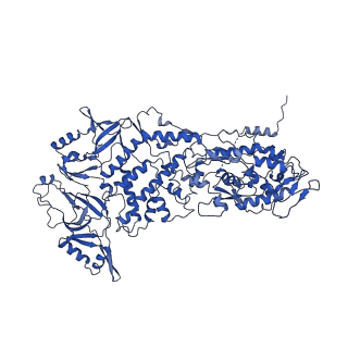 20398_6pns_D_v1-2
In situ structure of BTV RNA-dependent RNA polymerase in BTV virion