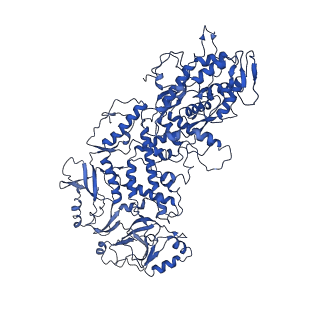 20398_6pns_E_v1-2
In situ structure of BTV RNA-dependent RNA polymerase in BTV virion