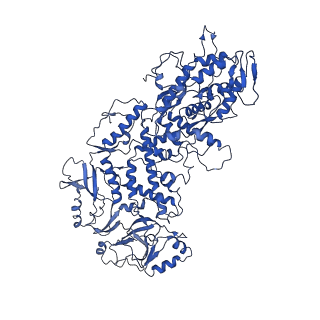 20398_6pns_E_v1-3
In situ structure of BTV RNA-dependent RNA polymerase in BTV virion