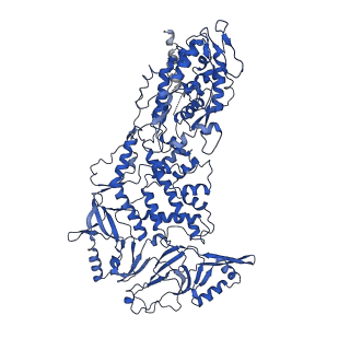 20398_6pns_F_v1-2
In situ structure of BTV RNA-dependent RNA polymerase in BTV virion