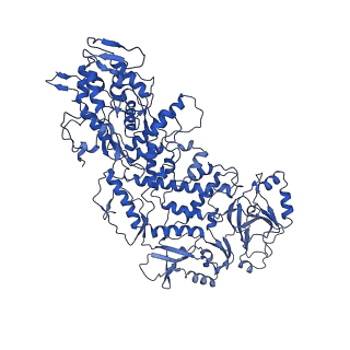 20398_6pns_G_v1-2
In situ structure of BTV RNA-dependent RNA polymerase in BTV virion