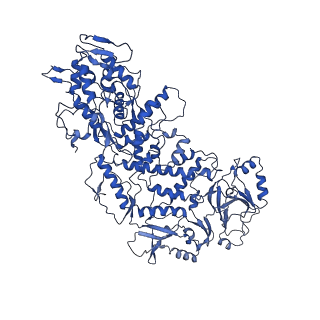 20398_6pns_G_v1-3
In situ structure of BTV RNA-dependent RNA polymerase in BTV virion