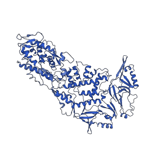 20398_6pns_H_v1-2
In situ structure of BTV RNA-dependent RNA polymerase in BTV virion