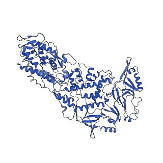 20398_6pns_H_v1-3
In situ structure of BTV RNA-dependent RNA polymerase in BTV virion