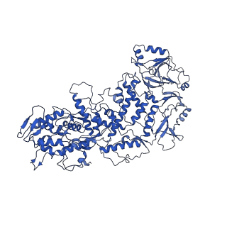 20398_6pns_I_v1-2
In situ structure of BTV RNA-dependent RNA polymerase in BTV virion