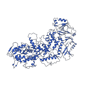 20398_6pns_I_v1-3
In situ structure of BTV RNA-dependent RNA polymerase in BTV virion