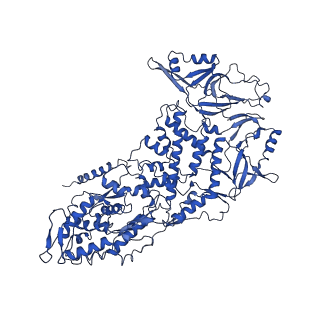 20398_6pns_J_v1-2
In situ structure of BTV RNA-dependent RNA polymerase in BTV virion