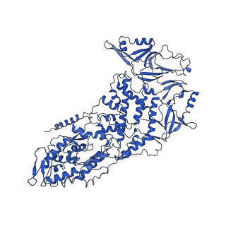 20398_6pns_J_v1-3
In situ structure of BTV RNA-dependent RNA polymerase in BTV virion