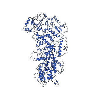 20398_6pns_K_v1-2
In situ structure of BTV RNA-dependent RNA polymerase in BTV virion