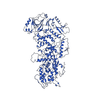 20398_6pns_K_v1-3
In situ structure of BTV RNA-dependent RNA polymerase in BTV virion