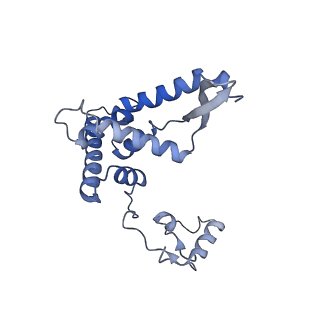 13558_7po0_F_v1-2
Assembly intermediate of human mitochondrial ribosome small subunit without mS37 in complex with RBFA and IF3