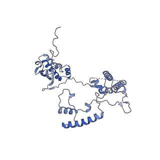 13558_7po0_G_v1-2
Assembly intermediate of human mitochondrial ribosome small subunit without mS37 in complex with RBFA and IF3