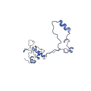 13558_7po0_O_v1-2
Assembly intermediate of human mitochondrial ribosome small subunit without mS37 in complex with RBFA and IF3