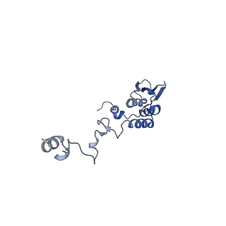 13558_7po0_T_v1-2
Assembly intermediate of human mitochondrial ribosome small subunit without mS37 in complex with RBFA and IF3