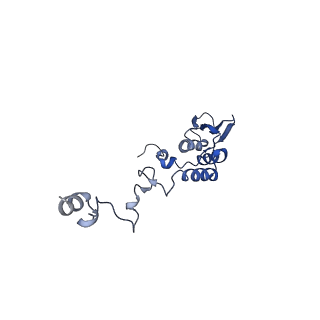 13558_7po0_T_v2-1
Assembly intermediate of human mitochondrial ribosome small subunit without mS37 in complex with RBFA and IF3