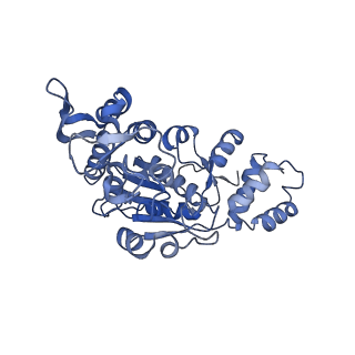 13558_7po0_X_v1-2
Assembly intermediate of human mitochondrial ribosome small subunit without mS37 in complex with RBFA and IF3