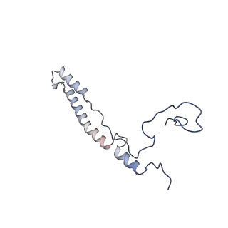 13559_7po1_2_v1-2
Initiation complex of human mitochondrial ribosome small subunit with IF3