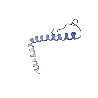 13559_7po1_3_v1-2
Initiation complex of human mitochondrial ribosome small subunit with IF3