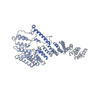 13559_7po1_4_v1-2
Initiation complex of human mitochondrial ribosome small subunit with IF3
