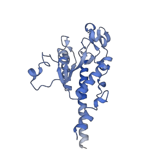 13559_7po1_B_v1-2
Initiation complex of human mitochondrial ribosome small subunit with IF3