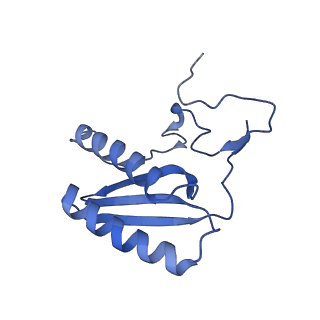 13559_7po1_C_v1-2
Initiation complex of human mitochondrial ribosome small subunit with IF3