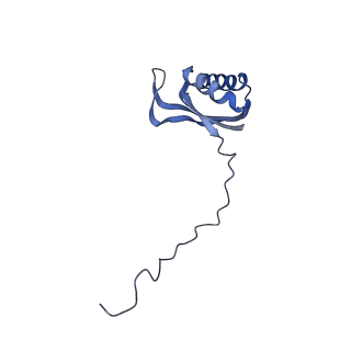 13559_7po1_E_v1-2
Initiation complex of human mitochondrial ribosome small subunit with IF3