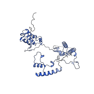 13559_7po1_G_v1-2
Initiation complex of human mitochondrial ribosome small subunit with IF3