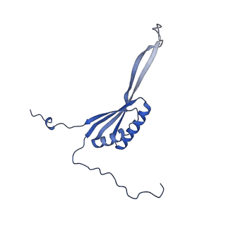 13559_7po1_H_v1-2
Initiation complex of human mitochondrial ribosome small subunit with IF3