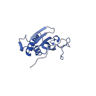 13559_7po1_I_v1-2
Initiation complex of human mitochondrial ribosome small subunit with IF3
