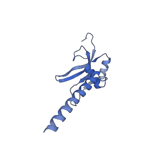 13559_7po1_M_v1-2
Initiation complex of human mitochondrial ribosome small subunit with IF3