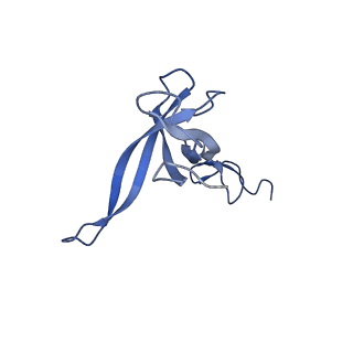 13559_7po1_N_v1-2
Initiation complex of human mitochondrial ribosome small subunit with IF3