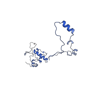 13559_7po1_O_v1-2
Initiation complex of human mitochondrial ribosome small subunit with IF3