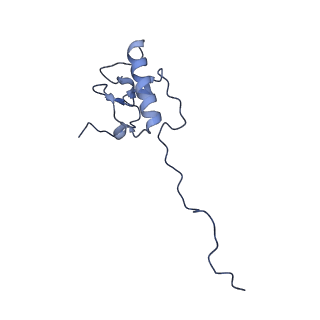 13559_7po1_P_v1-2
Initiation complex of human mitochondrial ribosome small subunit with IF3
