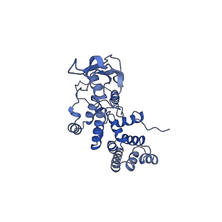 13559_7po1_R_v1-2
Initiation complex of human mitochondrial ribosome small subunit with IF3