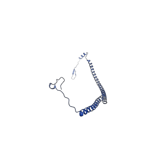 13559_7po1_U_v1-2
Initiation complex of human mitochondrial ribosome small subunit with IF3