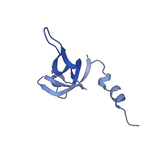 13559_7po1_W_v1-2
Initiation complex of human mitochondrial ribosome small subunit with IF3